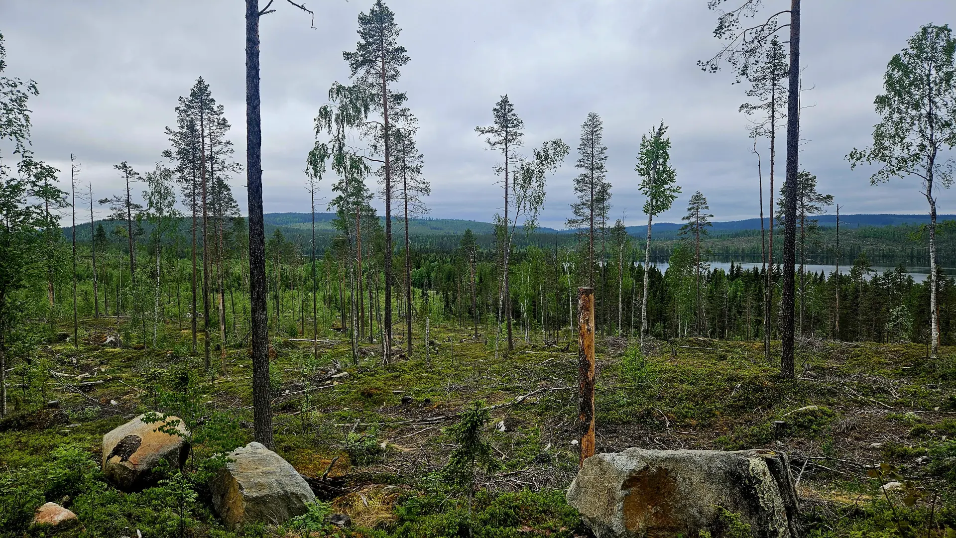 ffc33090-6186-11f1-a576-4b904365c5dd.webp
